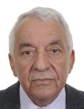 פרופ' יוסף גייגר